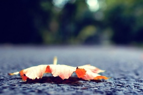 Beginning of Autumn HD desktop wallpaper picture