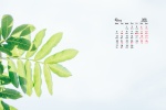 2021年9月护眼绿色桌面日历壁纸