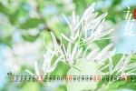 2022年5月立夏护眼风景桌面日历壁纸