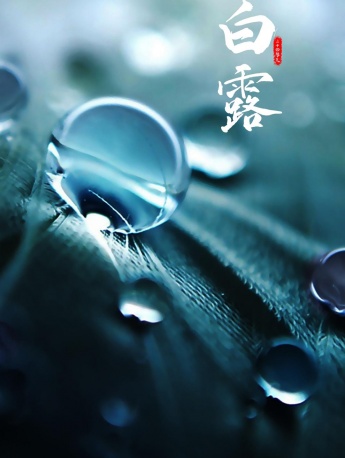 24節氣白露手機壁紙