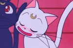 Luna Artemis couple's avatar