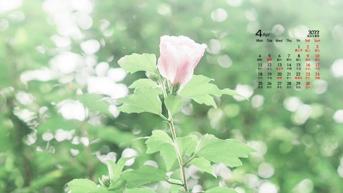 April 2022 Fresh Eye Care Calendar Wallpaper