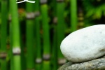 立夏唯美圖片高清手機壁紙