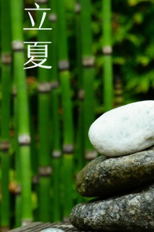 Beginning of summer beautiful pictures HD mobile wallpaper