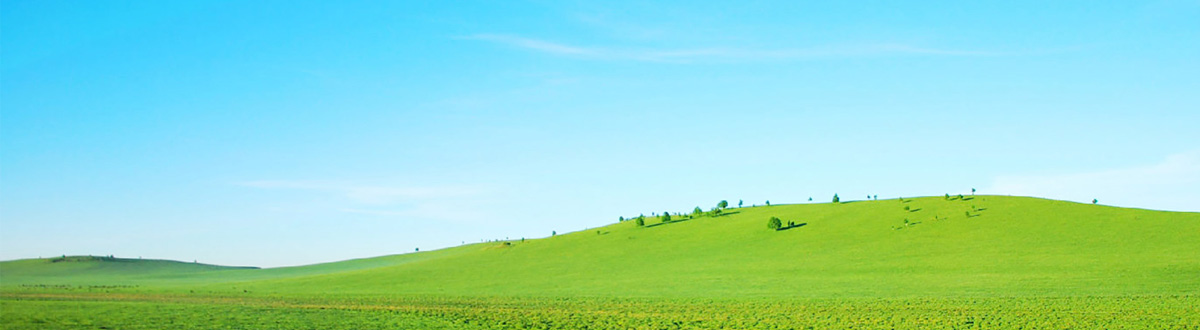 May 2021 Desktop Wallpapers