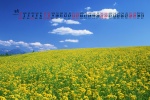 May 2022 fresh blue sky and green land scenery calendar wallpaper
