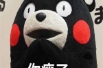 The latest version of Kumamon WeChat emoticon package pictures