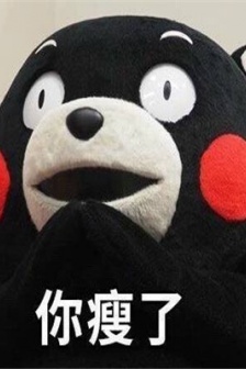 最新版熊本熊微信表情包图片
