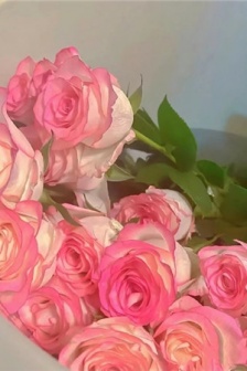 Pink and romantic picture material