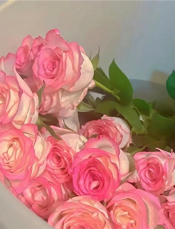 Pink and romantic picture material