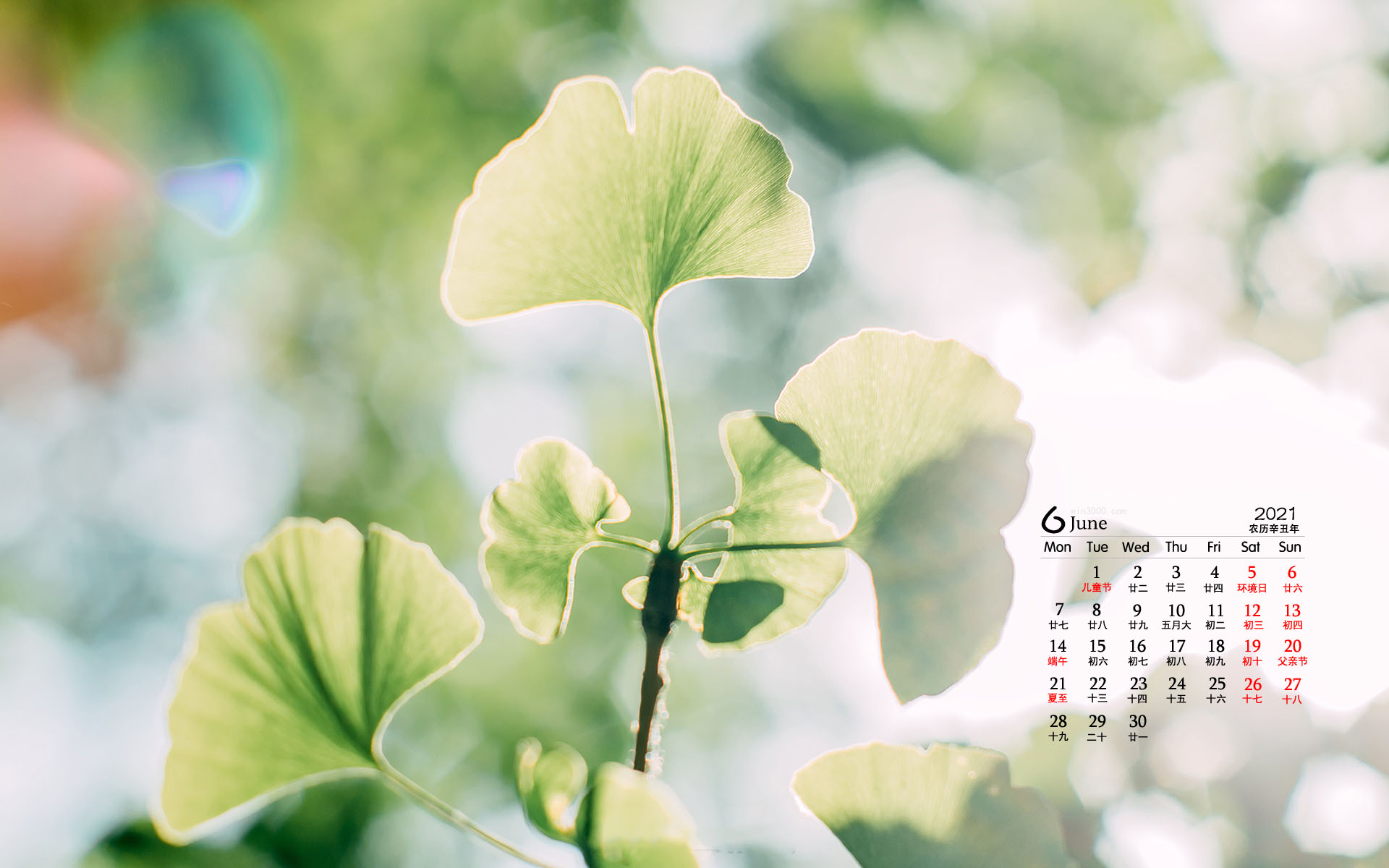 2021年6月小清新绿植花卉桌面日历壁纸