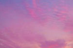 Pink and purple beautiful scenery without watermark mobile wallpaper