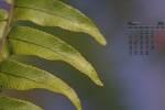 2021年9月綠色植物護眼高清日曆壁紙圖片
