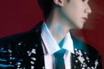 Wang Yuan black sequined suit retro handsome photo