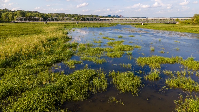 Swamp scenery pictures wallpaper