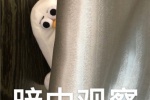 oddy magic seagull WeChat chat expression pack