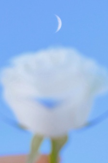 Summer blue scenery mobile wallpaper