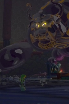 《The Legend of Zelda: The Wind Waker》HD Game Photo Album