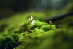 小清新24节气小暑电脑桌面壁纸