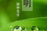 清明节文字图片手机壁纸