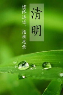 Qingming Festival text pictures mobile wallpaper