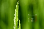 Eye-protecting green landscape desktop calendar wallpaper for April 2022