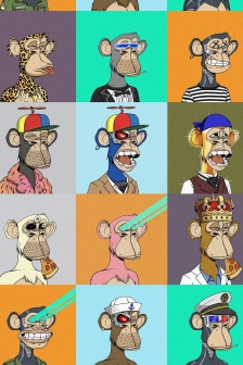 库里猴子创意手机壁纸