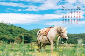 July 2021 fresh summer scenery desktop calendar wallpaper