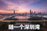随一个深圳湾表情包