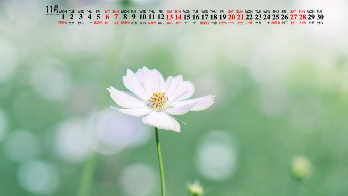 2021年11月日历壁纸图片