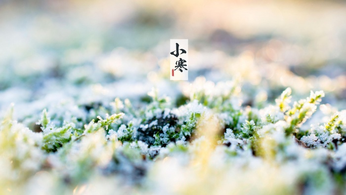 節氣小寒之雪花美景圖片壁紙