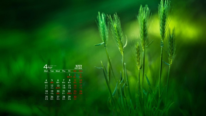 Eye-protecting green plants HD desktop calendar wallpaper for April 2022