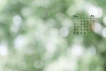 2021年9月绿色风景自然桌面日历壁纸
