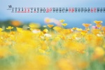 March 2022 yellow flowers fresh desktop calendar wallpaper