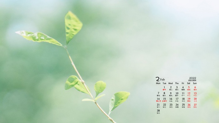 February 2022 Eye Protection HD Desktop Calendar Wallpaper