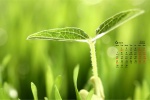 2021年6月护眼绿色风景桌面日历壁纸