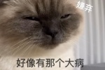 好像有那个大病（嫌弃）