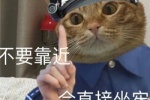 Kitten police funny emoticon picture