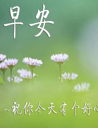 早上好带字的祝福语最新图片