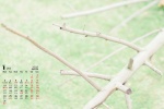 January 2022 small fresh natural scenery calendar wallpaper