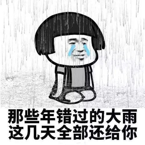 雨好大表情包