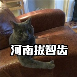 Cat version of Henan wisdom teeth removal emoticon pack