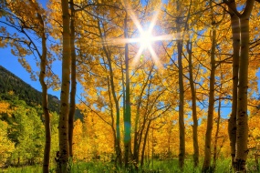 Beautiful desktop wallpaper with charming scenery during the autumnal equinox