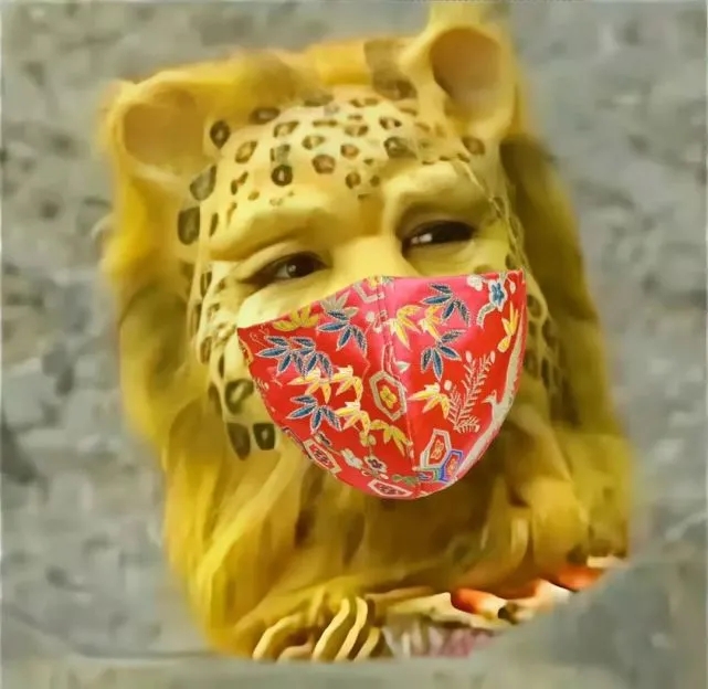 金钱豹带戴口罩头像图片