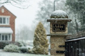 飘落的雪花图片桌面壁纸
