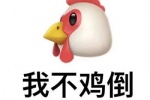 我不鸡倒