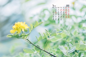 Eye protection HD desktop calendar wallpaper for March 2022