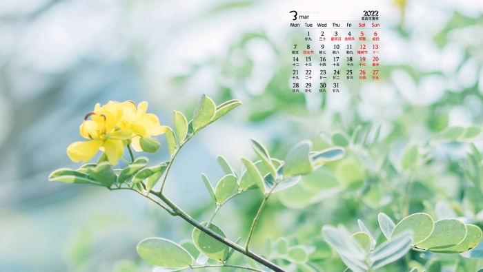 2022年3月护眼高清桌面日历壁纸