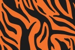 虎纹主题手机壁纸