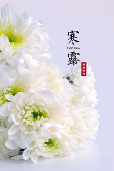 寒露帶字圖片手機壁紙